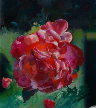2024 - oil on canvas - 80 x 70 cm