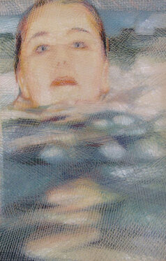 2006 - yarn on organza - 50 x 38 cm