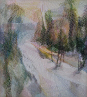 2007 - yarn on organza - 50 x 45 cm