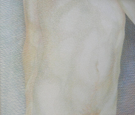 2004 - yarn on organza - 80 x 90 cm