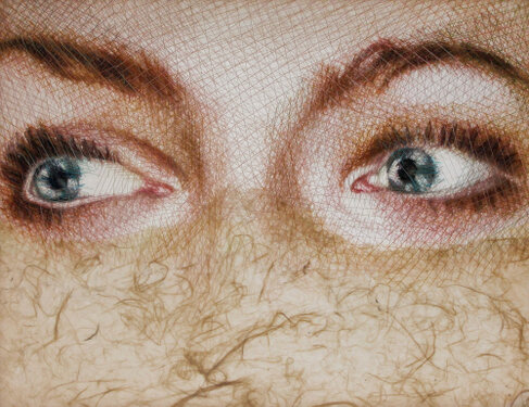 2017 - yarn and paper on organza - 40 x 50 cm