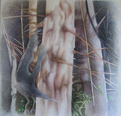 2011 - ink and marker on paper - 92 x 107 cm
