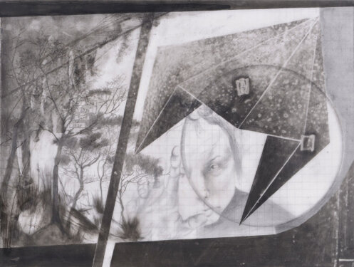 2016 - graphite on polyesterfiilm - 35,5 x 50 cm